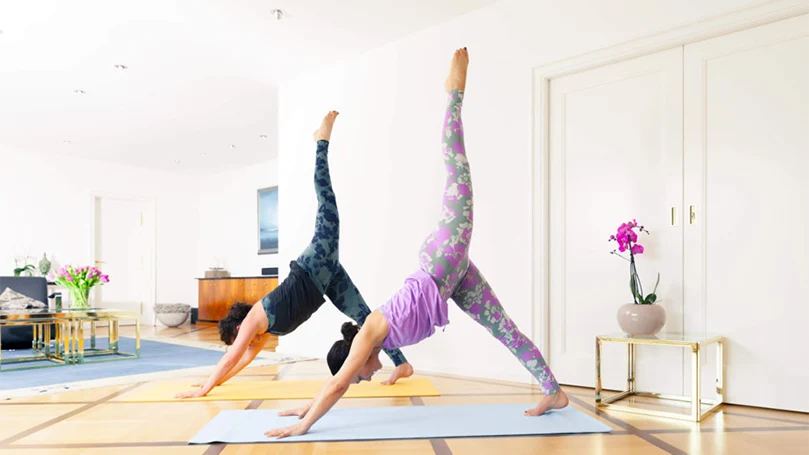 una imagen de mujeres haciendo ejercicio y yoga