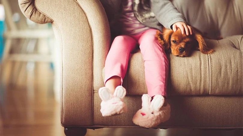 una imagen de un perro tumbado en una cama con una chica