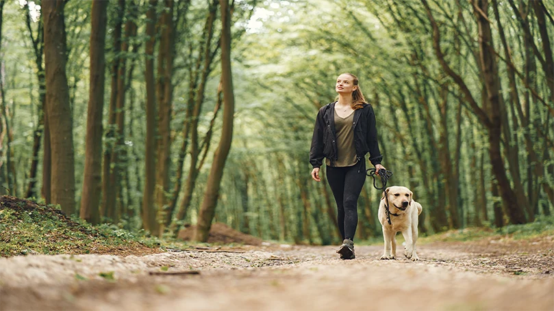 una imagen de una mujer que se despierta con su perro en el bosque