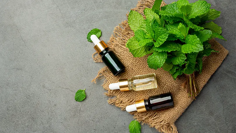 A fresh peppermint and peppermint oil.