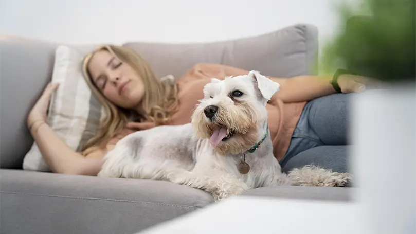 Imagen de una mujer durmiendo con un perro en un sofá.