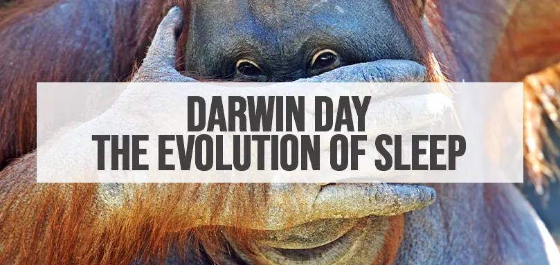 Imagen destacada del Día de Darwin - La evolución del sueño