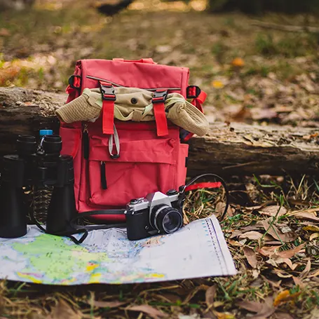 Una imagen de un equipo de acampada en la naturaleza