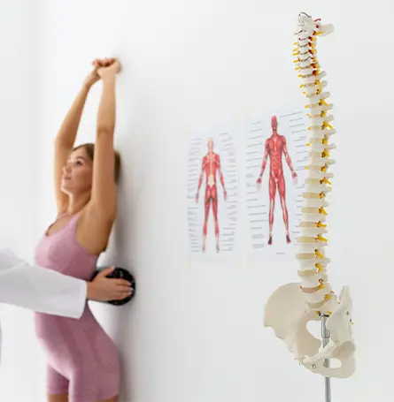 Imagen de una mujer haciendo ejercicios para la columna vertebral