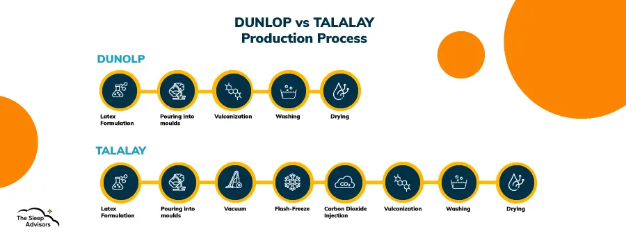 Una infografía que muestra las diferencias entre la producción de látex Dunlop y Talalay